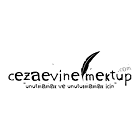 Cezaevine Mektup – Dizaynın Web Ortamına Uyarlanması ve Arka Plan Kodlaması –  Ankara